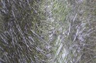 Millerhill fibreglass roof work